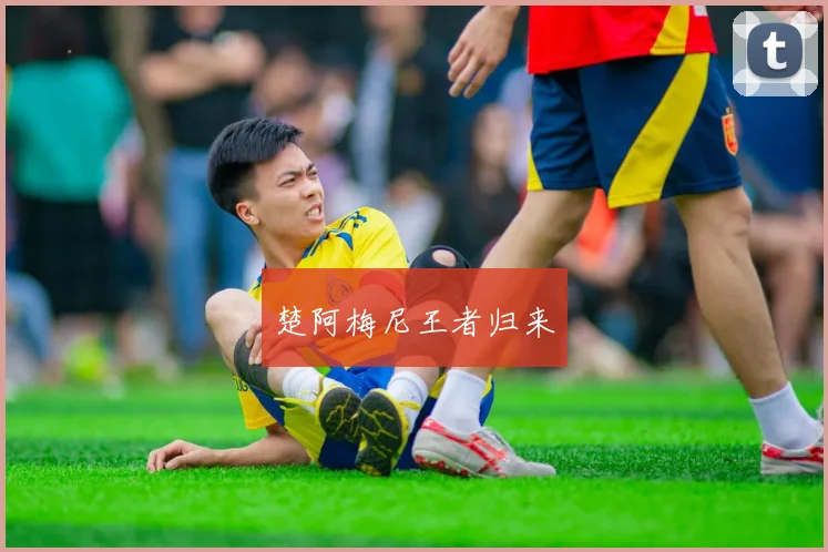 楚阿梅尼王者归来