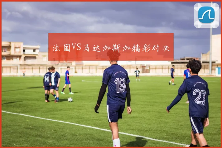 法国VS马达加斯加精彩对决