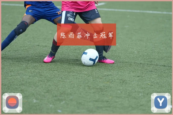 陈雨菲冲击冠军