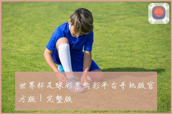 世界杯足球彩票购彩平台手机版官方版|完整版