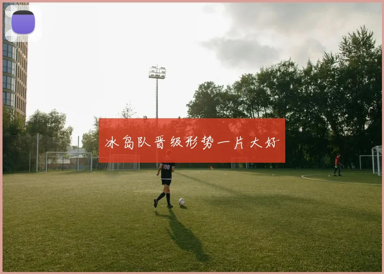 冰岛队晋级形势一片大好