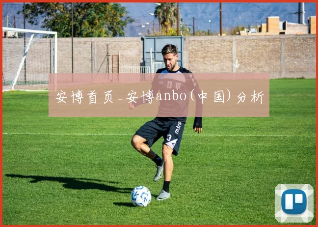 安博首页_安博anbo(中国)分析
