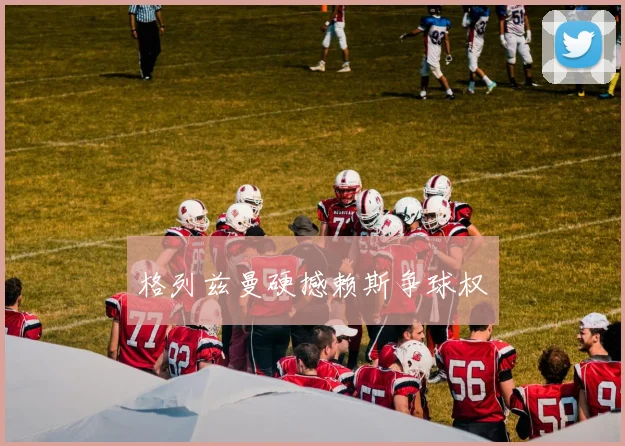 格列兹曼硬撼赖斯争球权