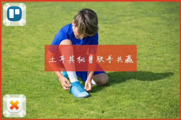 土耳其秘鲁联手共赢