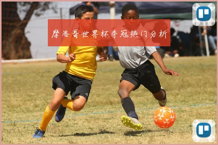 摩洛哥世界杯夺冠热门分析
