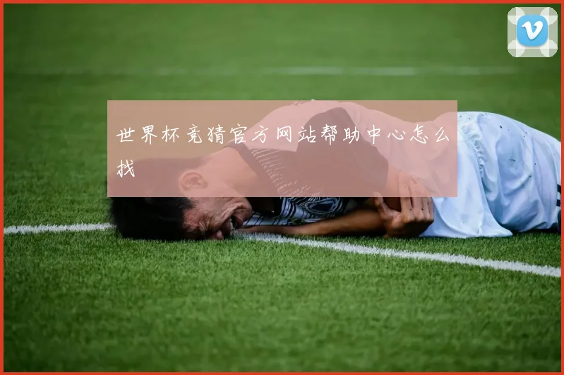 世界杯竞猜官方网站帮助中心怎么找