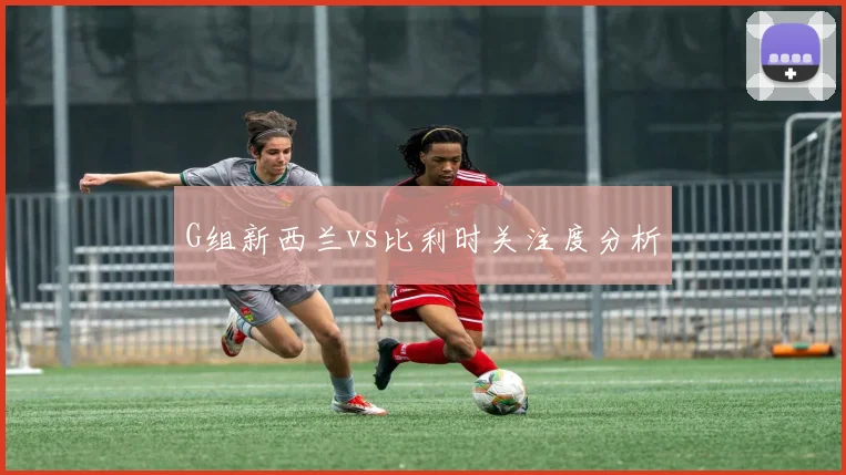 G组新西兰vs比利时关注度分析